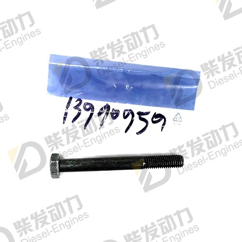 Hexagon screw 13965189